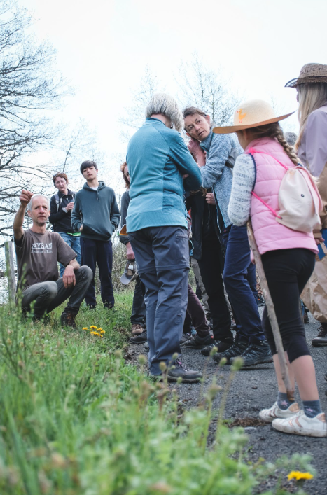 benoit décrivant les plantes sauvages à du public